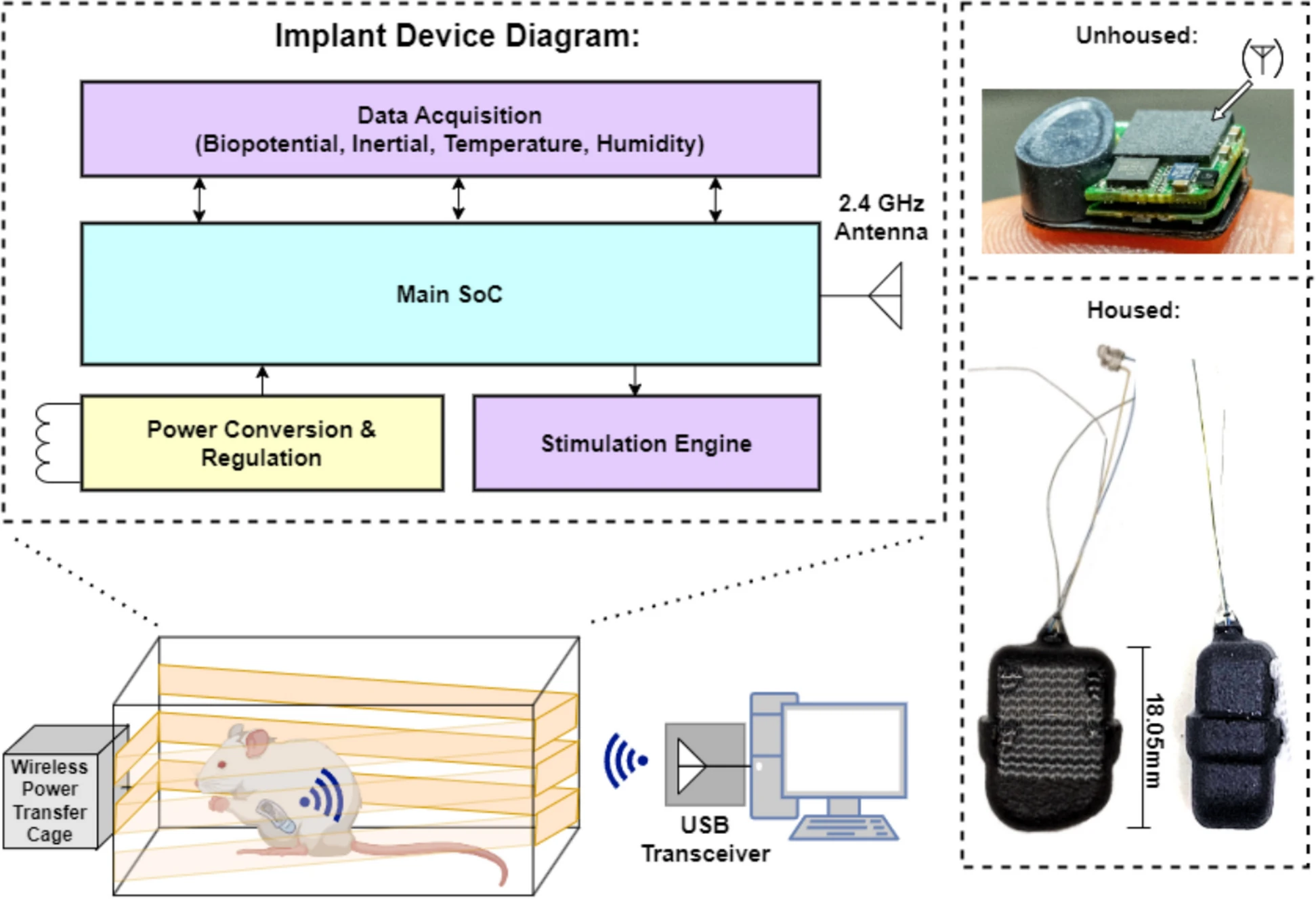 Block diagram of the implant (data acquisition of biopotential, inertial, temperature and humidity signals; main system-on-chip with a 2.4 GHz antenna; power conversion and regulation; stimulation engine), a mouse in a wireless power transfer cage linked to a USB transceiver and computer, and photographs of the implant unhoused on a fingertip and housed, with an 18.05 mm scale bar