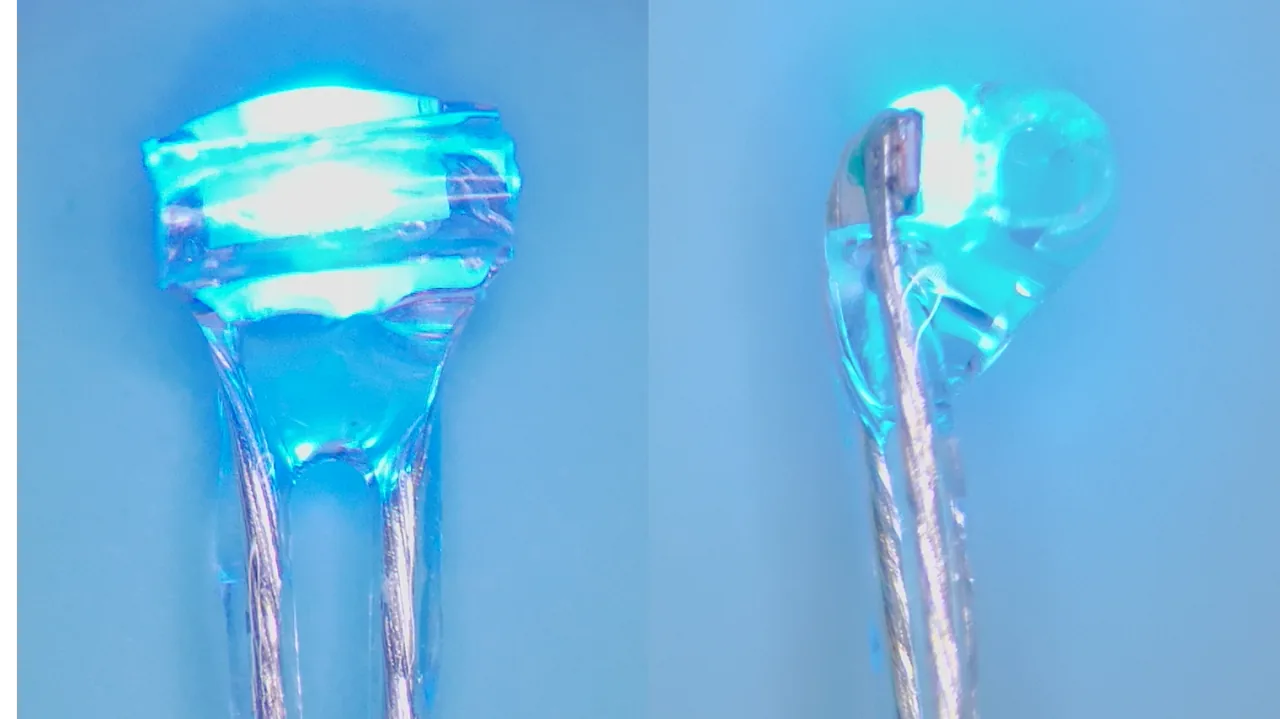 Two views of a small transparent nerve cuff glowing blue